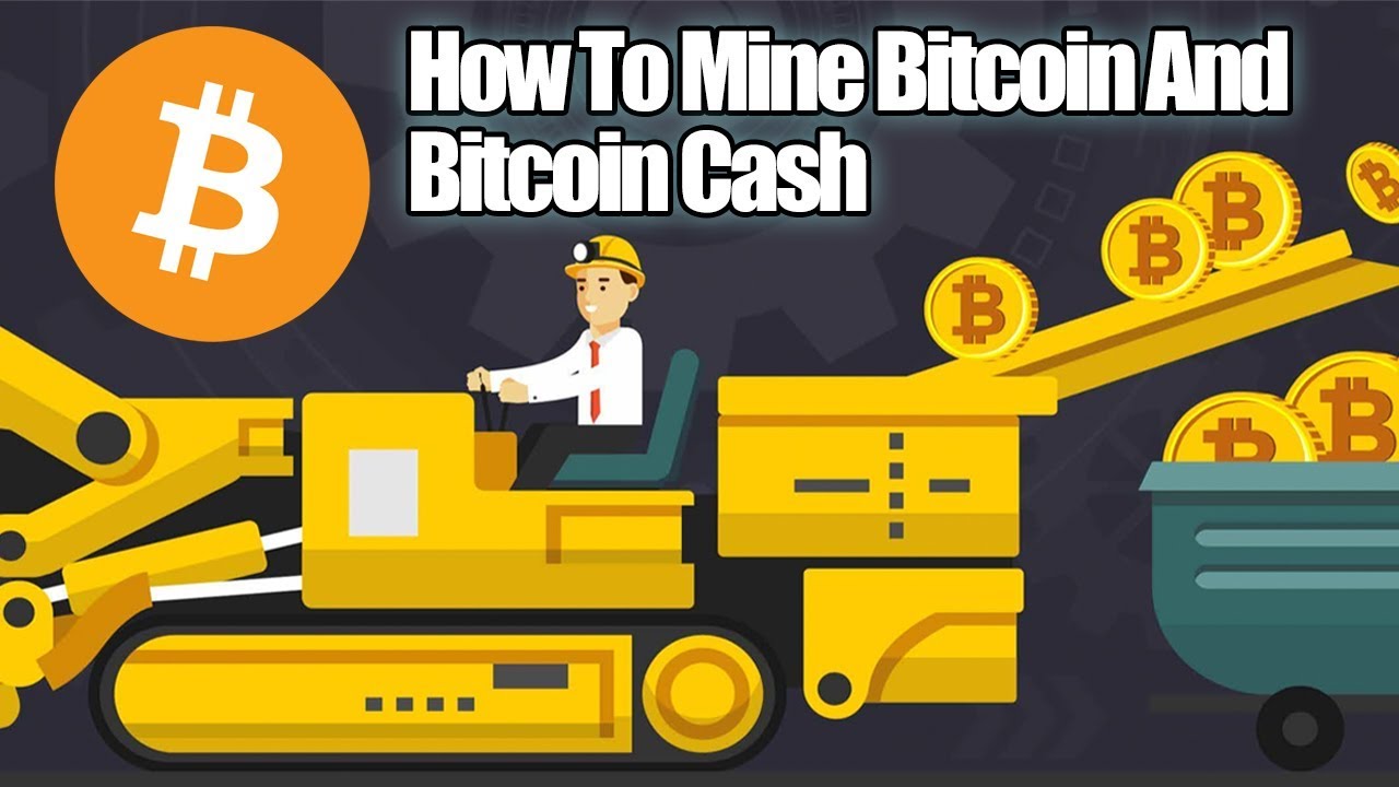 How to mine Bitcoin Cash: A beginners guide to mining BCH ()