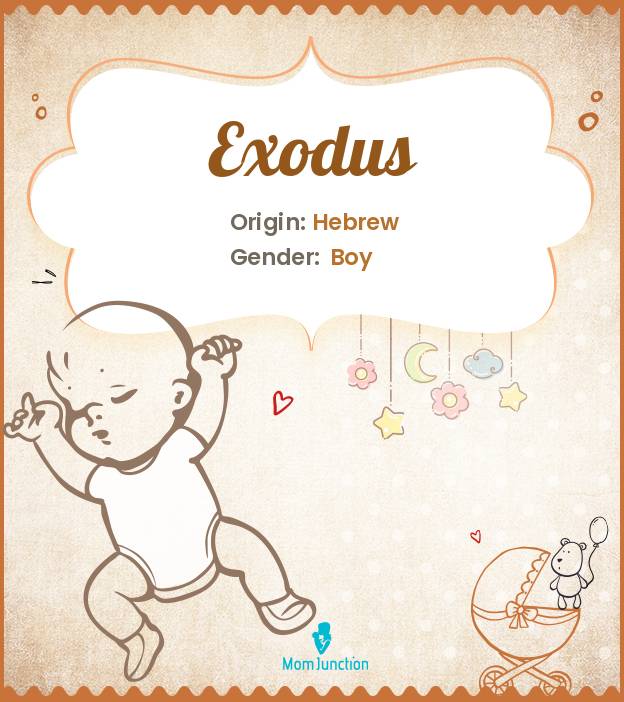 Exodus | Name for Girls | UK Baby Names