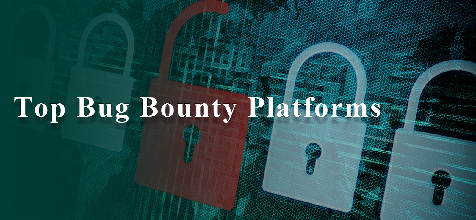 #1 Crowdsourced Cybersecurity Platform | Bugcrowd