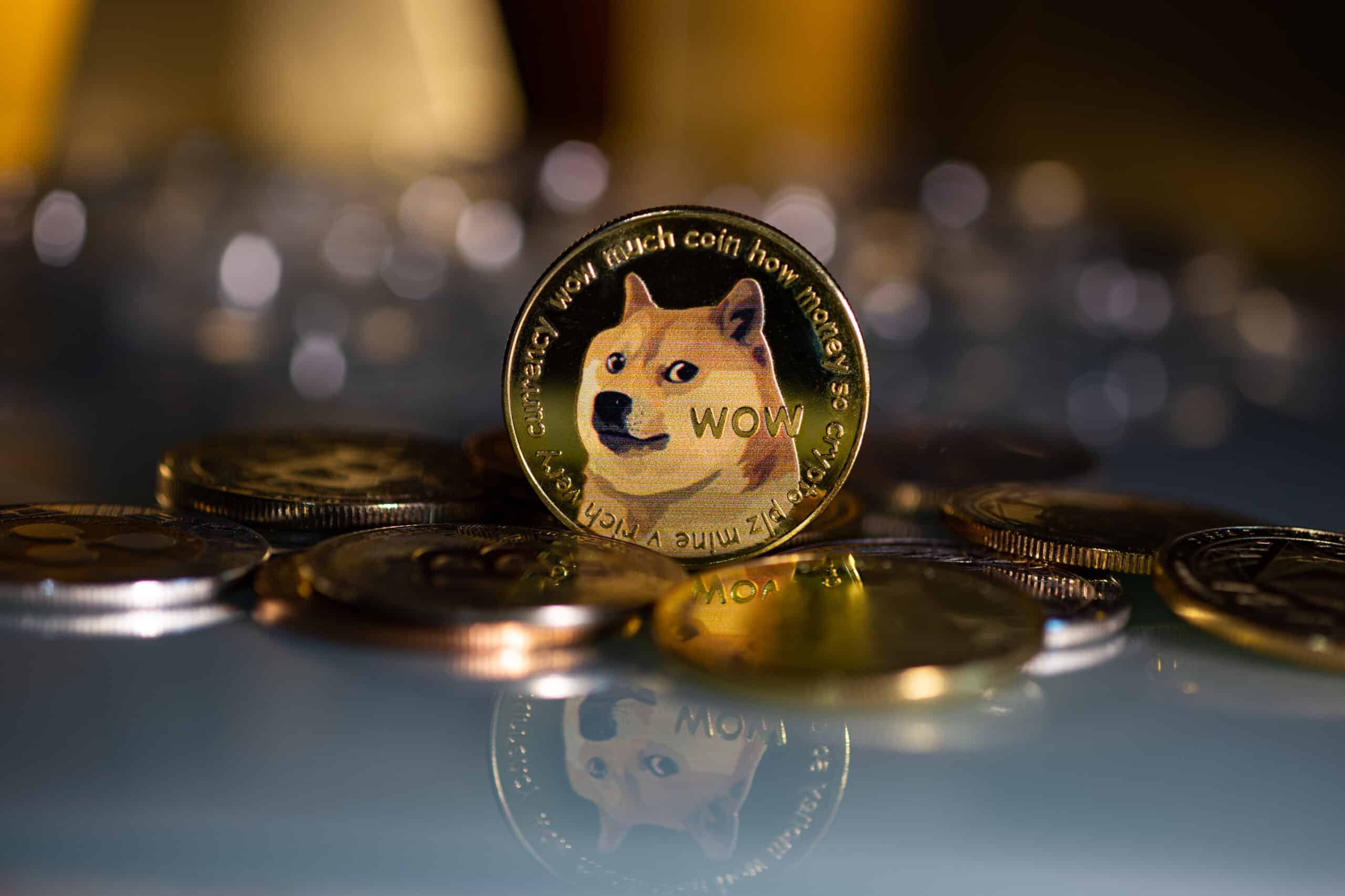 Buy Dogecoin with PayPal | How to Buy DOGE with PayPal | BitValve