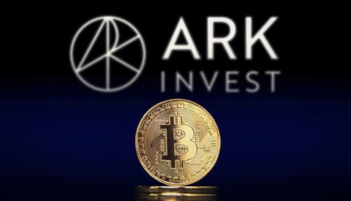 Ark Investments sets % fee for proposed spot bitcoin ETF | Reuters