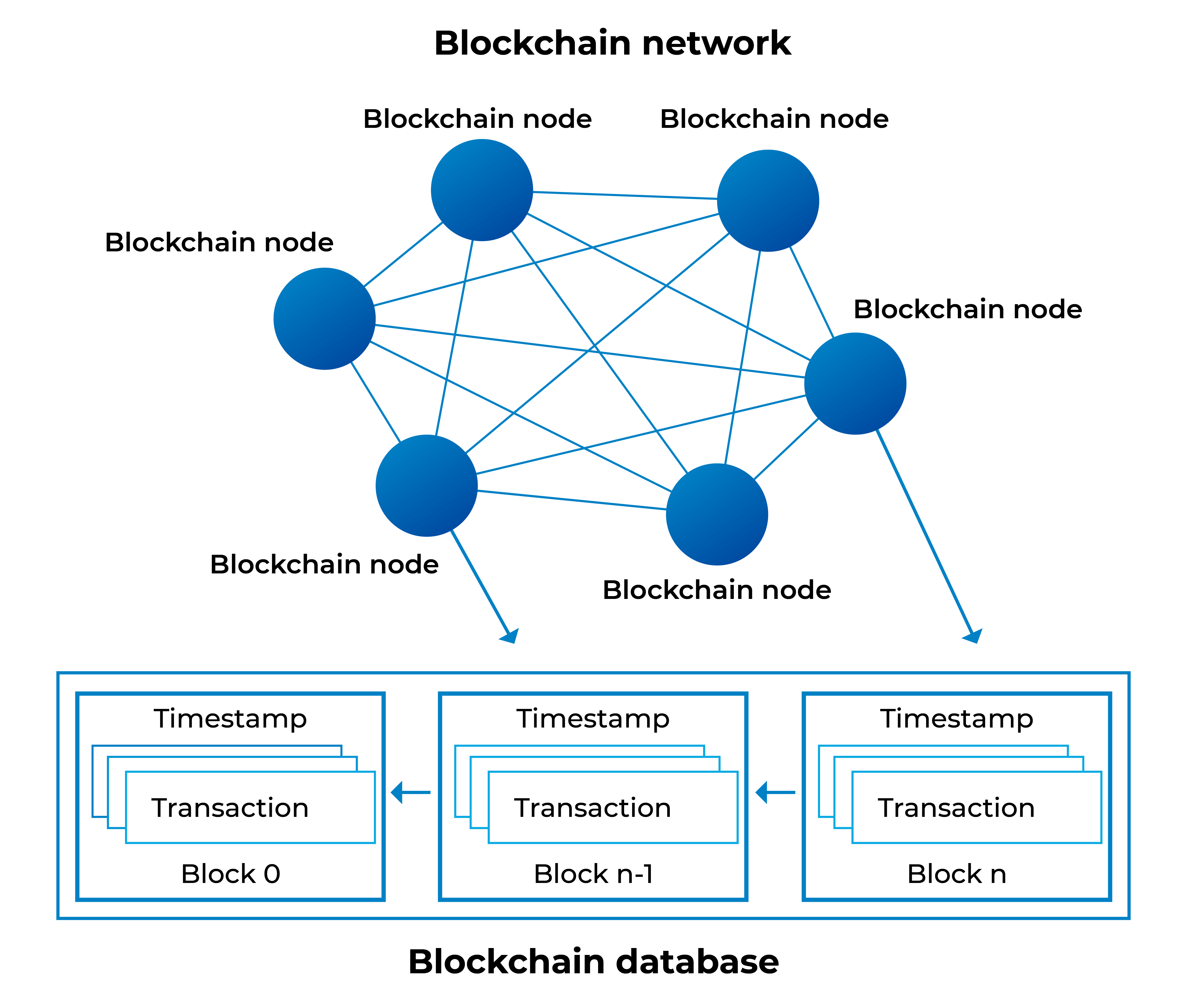 What Is a Node in Blockchain? | Algorand Foundation News