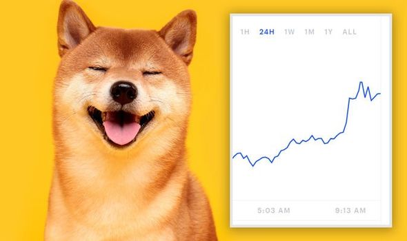 Convert 1 DogeCoin to CAD | DogeCoin price in Canadian Dollars | Revolut Australia