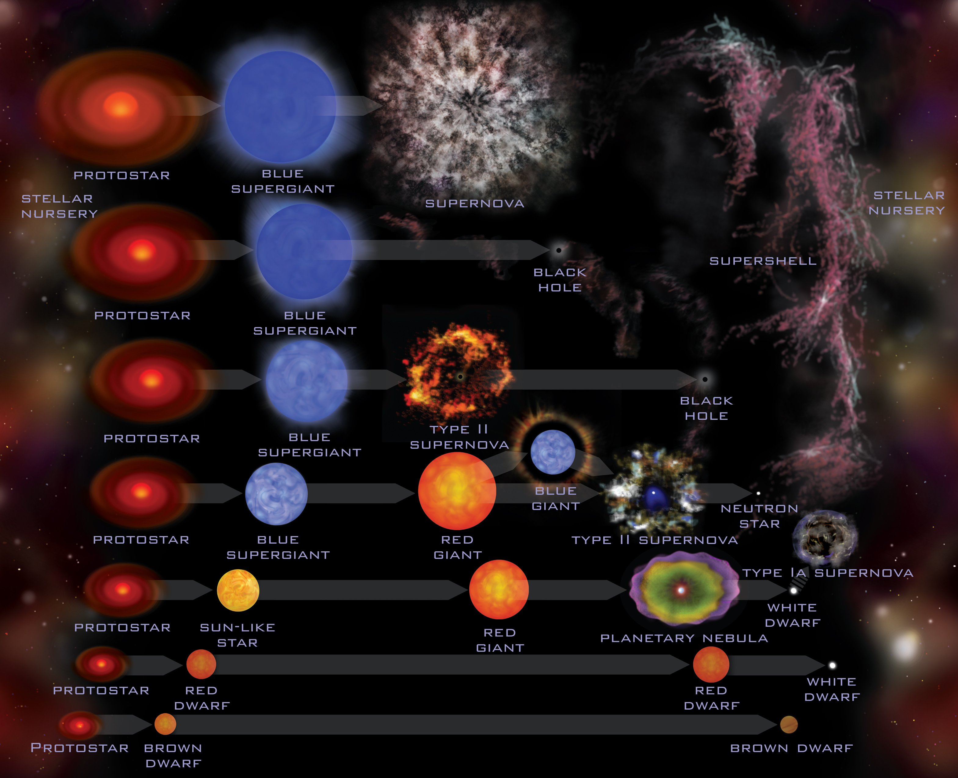 Stellar Evolution | aavso