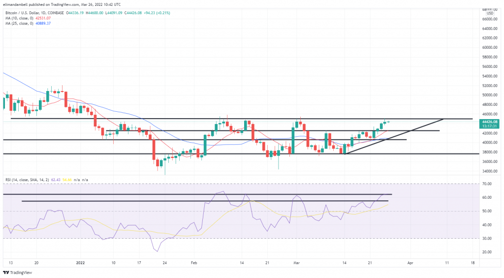 BXC/BTC Conversion: Transform to Bitcoin | Bitsgap