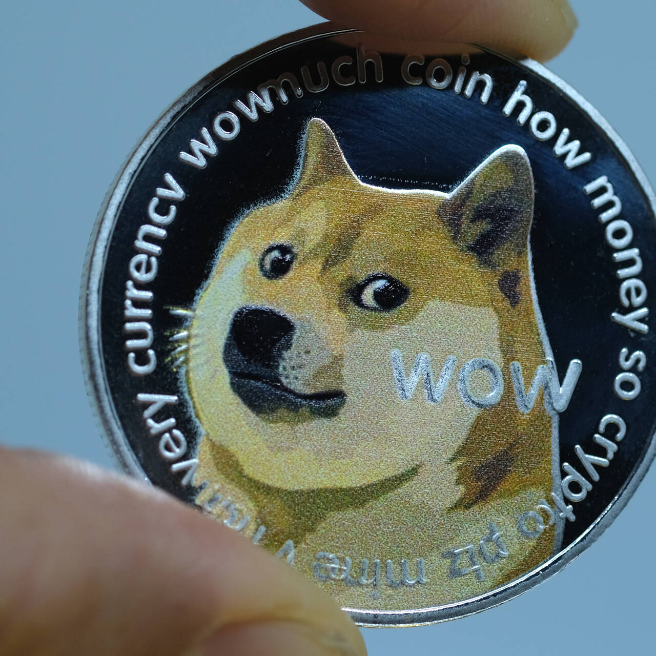 ‘I Still Own A Bunch Of Dogecoin,’ Tesla CEO Elon Musk Reveals | cryptolog.fun