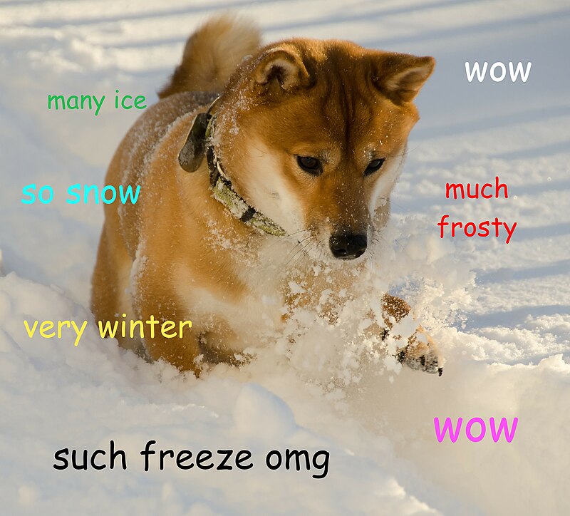Doge Dog Wearing Gamer Headset Memes, GIFS - Share with Memix