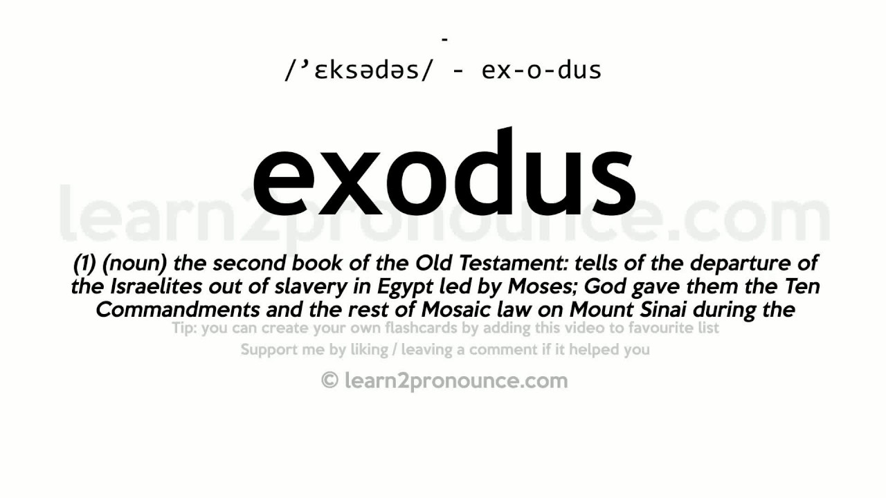 EXODUS Synonyms: 31 Similar and Opposite Words | Merriam-Webster Thesaurus