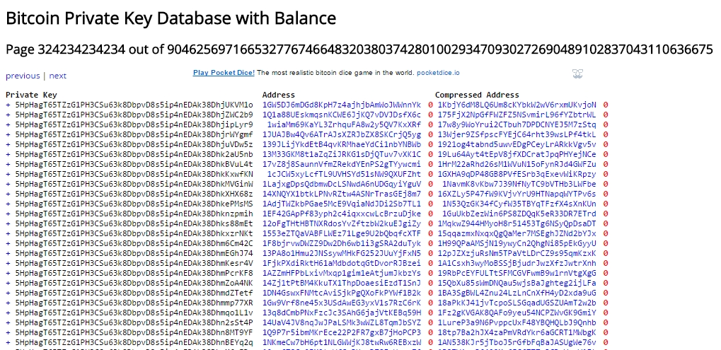 Top Richest Bitcoin Addresses and Bitcoin distribution