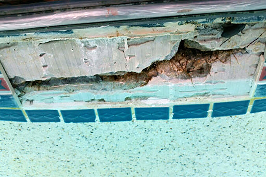 Pool Coping Repair: Everything you Need to Know | Willsha Pools