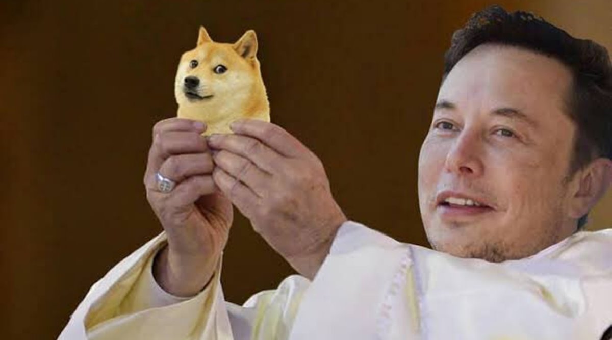 Dogecoin Drops % as Elon Musk Replaces 'DOGE CEO' on Twitter With New One