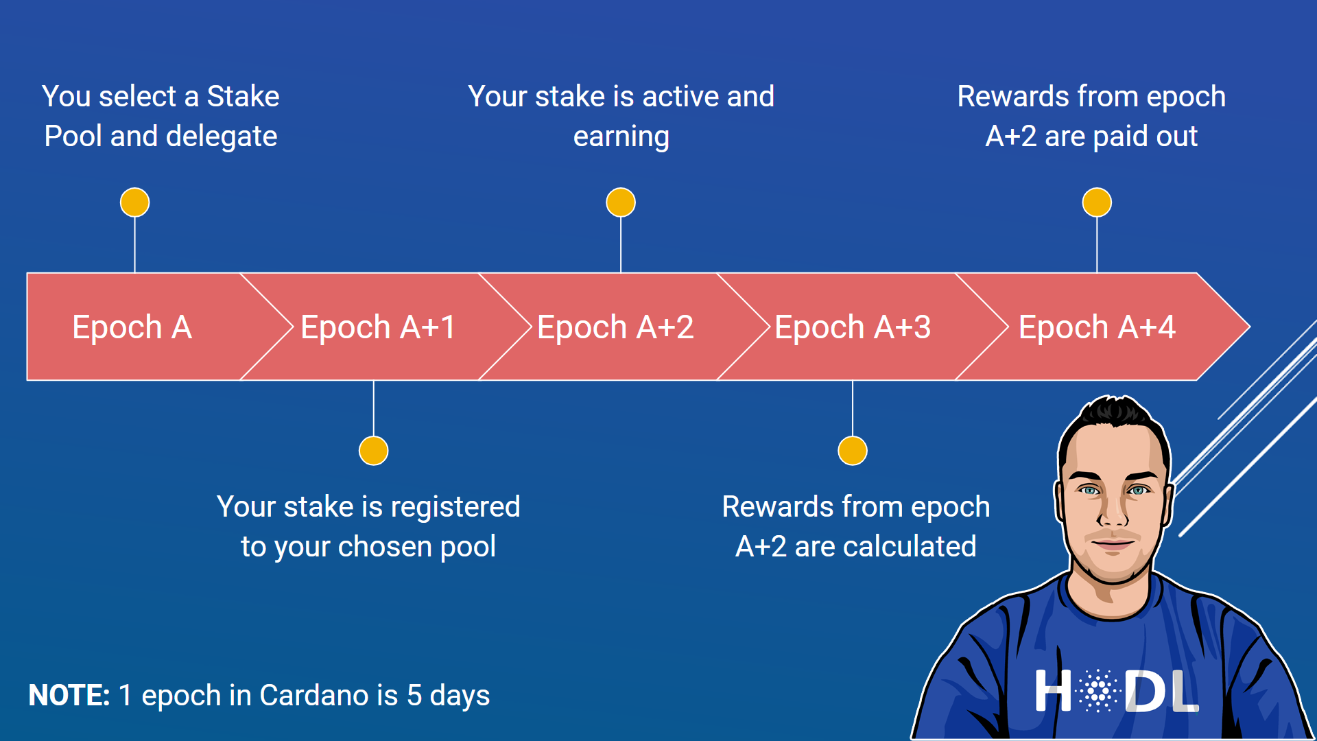 How to Stake Cardano (ADA)