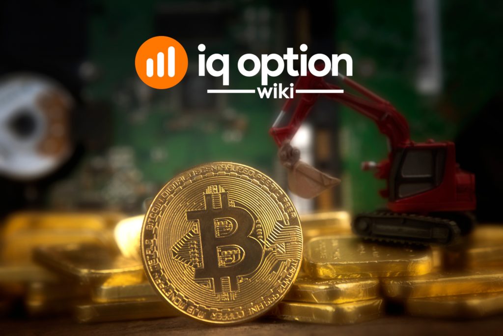 IQ Option Exchange Review, Live Prices, Trade Volume, Fees | BitRates