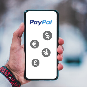 Where can I find PayPal's currency calculator and exchange rates? | PayPal US