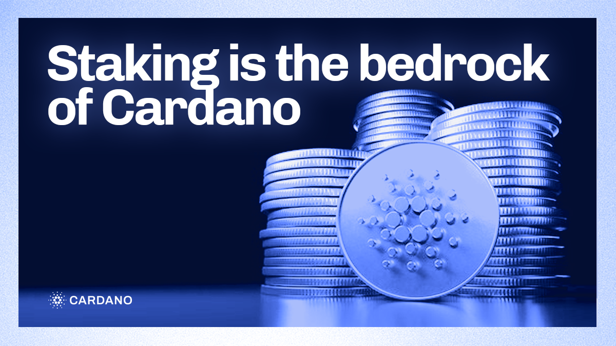 Cardano Self-custodial Staking and Why it is Important