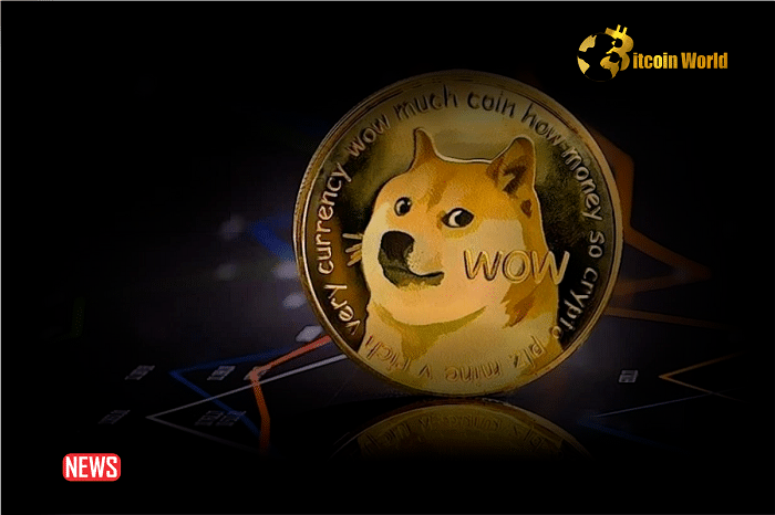 Sora Doge price today, SORADOGE to USD live price, marketcap and chart | CoinMarketCap