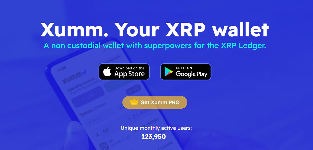 9 Best XRP Wallets in – Top Ripple Wallets Revealed