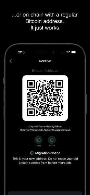 Phoenix Wallet Review A Non-Custodial Bitcoin LN Wallet