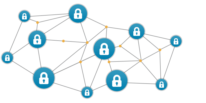 What Are Blockchain Nodes?