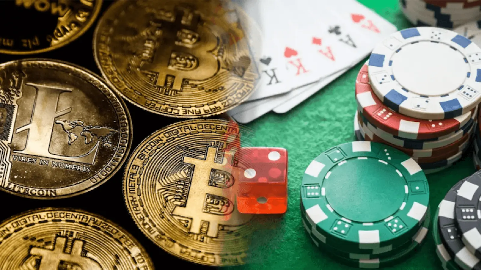 The Difference Between Cryptocurrency and Gambling - Insights Success