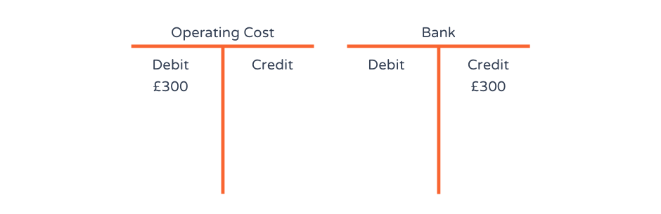 Introduction To The Ledger System And T Accounts - FasterCapital