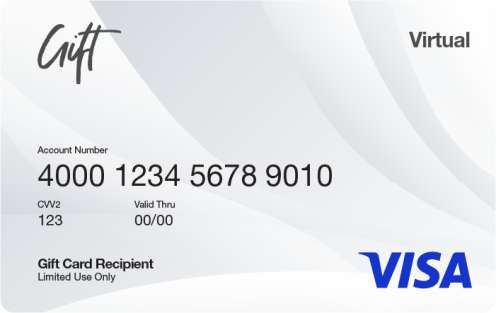 Buy a Visa Gift Card Online | Email Delivery | Dundle (US)