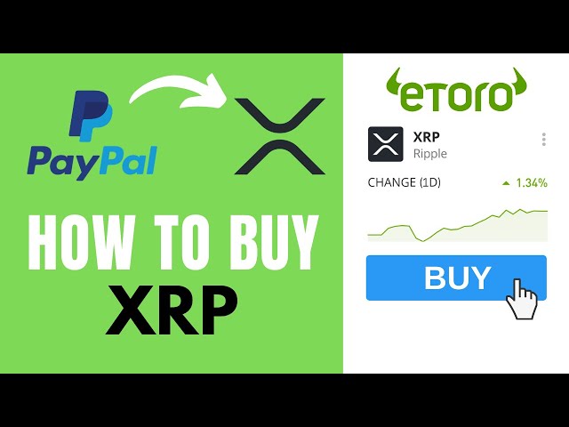 Exchange Ripple (XRP) to PayPal USD  where is the best exchange rate?