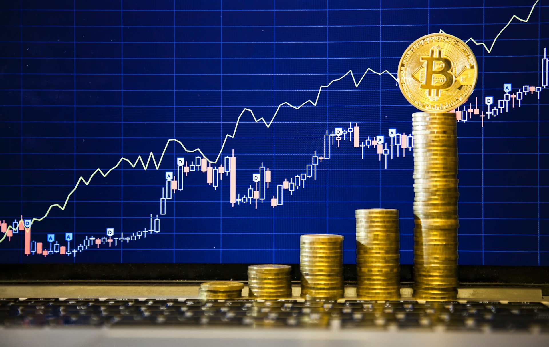 What Determines Bitcoin's Price?