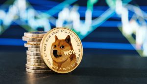 BTC to DOGE Exchange | Convert Bitcoin to Dogecoin on SimpleSwap