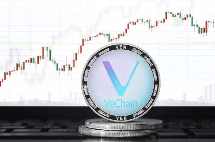 Enterprise Blockchain Altcoin VeChain (VET) Jumps After New Coinbase Listing - The Daily Hodl