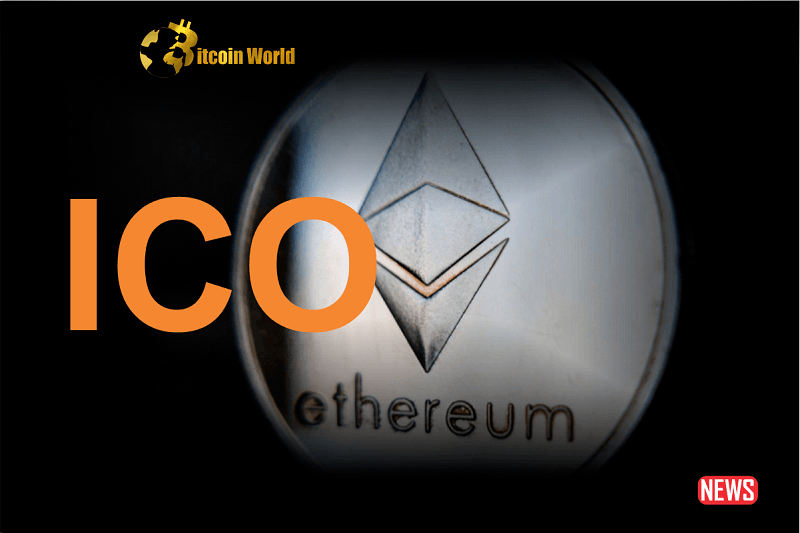 EthereumICO – WordPress plugin | cryptolog.fun