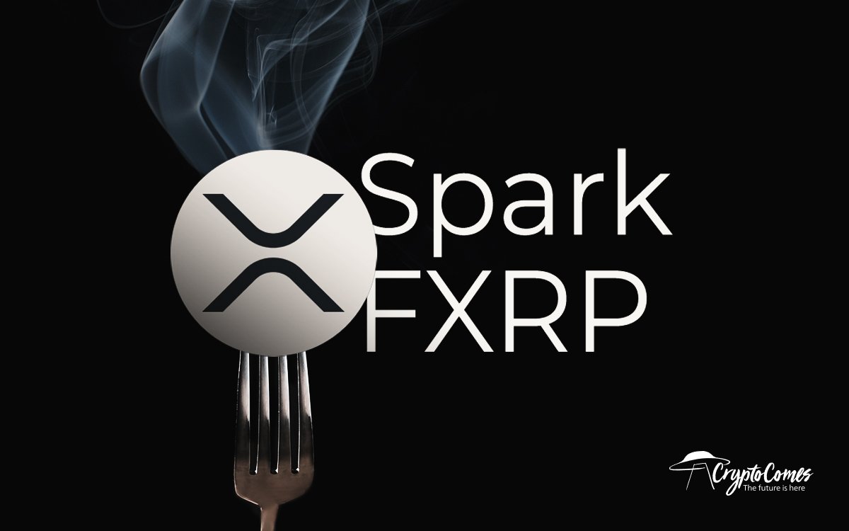 XRP Fork Flare: All You Should Know About It - Comprehensive Guide