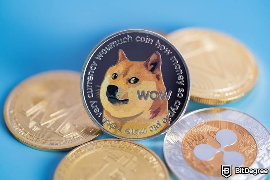 Dogecoin Wallet | Ledger