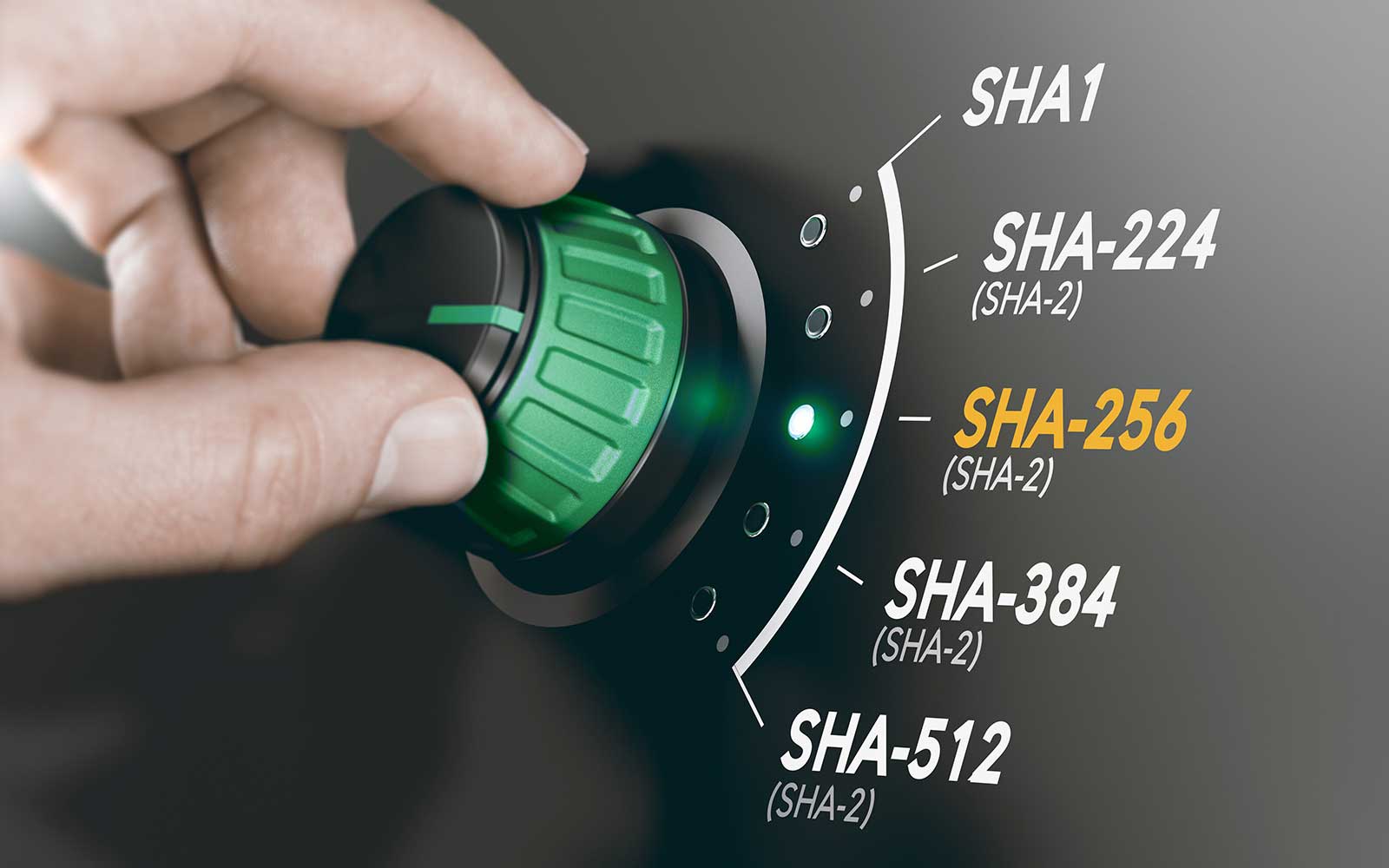 SHA Algorithm - A Non-Technical Guide - SSL Dragon