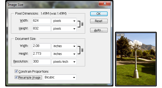 What are the dimensions of the Wallet Size and Contact Sheet pictures? - Microsoft Community