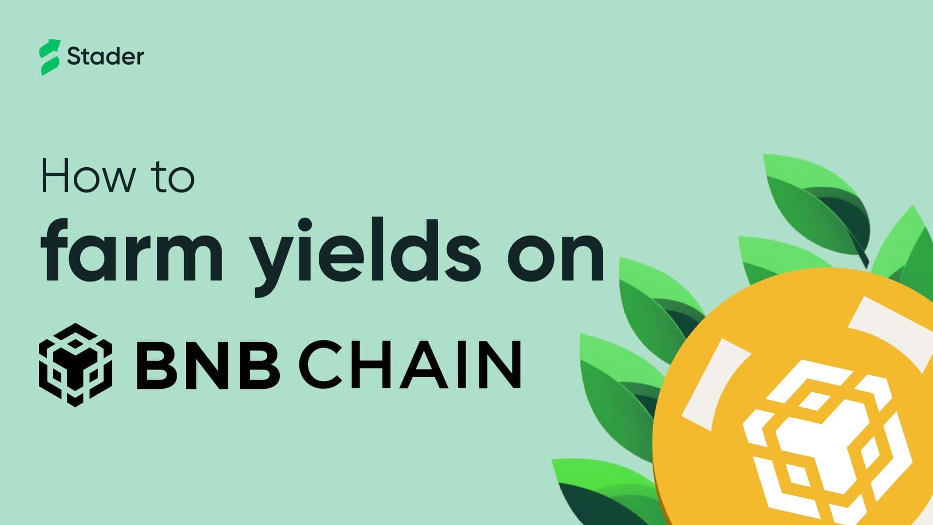 Best BNB Chain DeFi Yield Farming - Crypto APY Rates