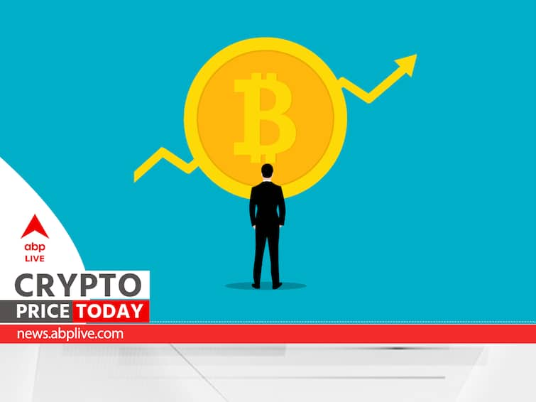 Top 10 Crypto Prices for November 08, Bitcoin Surpasses US$35, Amid Green Crypto Rally