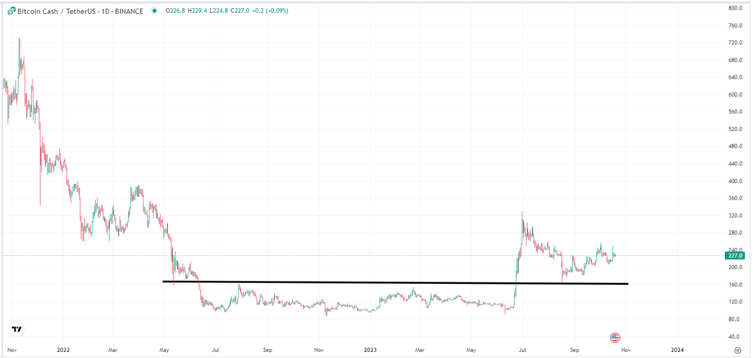 Bitcoin Cash treading a rocky path following first halving e