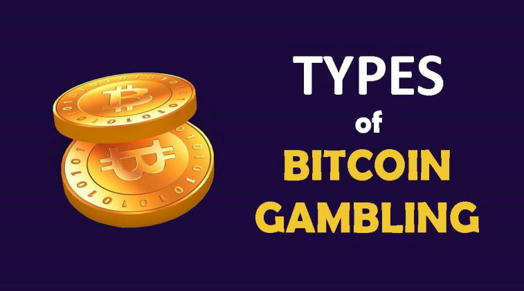 The Best Bitcoin Casinos to Play at in ! | CasinoKrypto