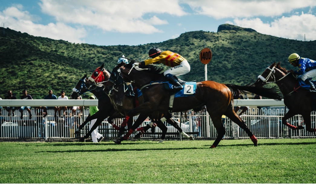 Online Bet with bitcoin on Horse Racing – Coinplay