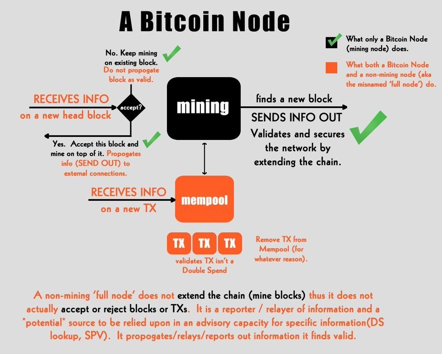 Crypto Nodes: What Are They And How Do They Work? | Ledger