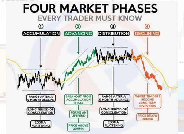 Next Crypto Bull Run Prediction - In-Depth Market Analysis