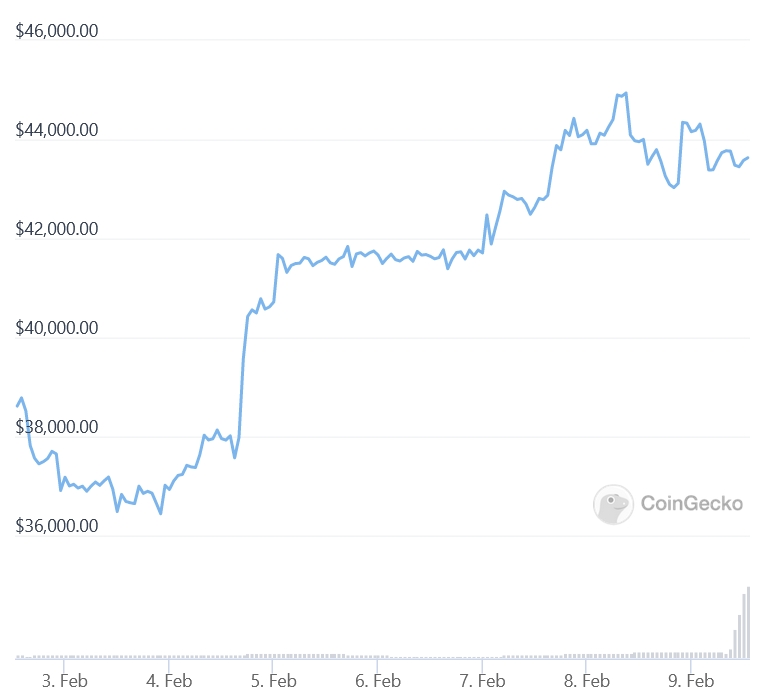 How to Find New Cryptocurrencies for Investment