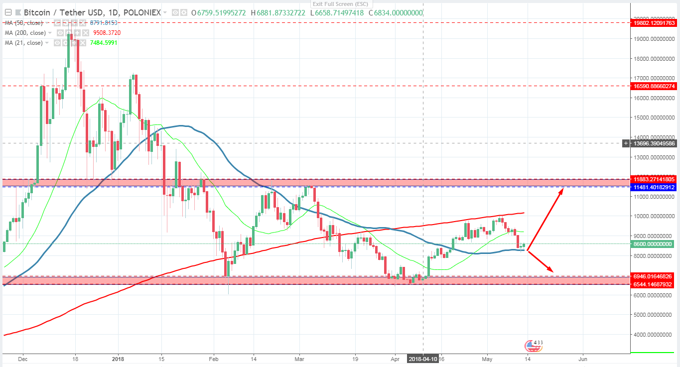 Bitcoin Price Prediction: $25, Around May 