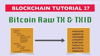 Anatomy of Bitcoin's Raw Transactions – Hongchao's Notes – sensing the abstract nonsense