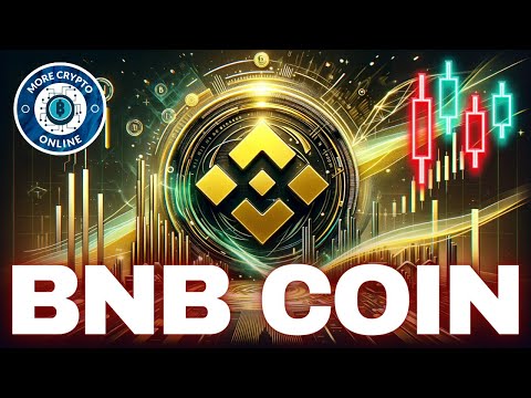 BNB's price took a hit, but THIS metric soared instead - AMBCrypto