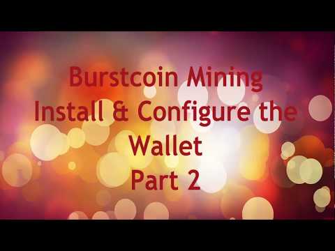 2 Best Burst Wallet Reviews - cryptolog.fun