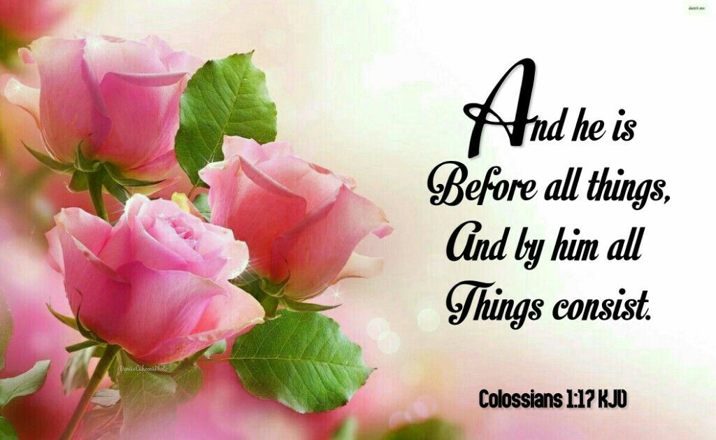 Colossians - For in him all things were created: things in heav