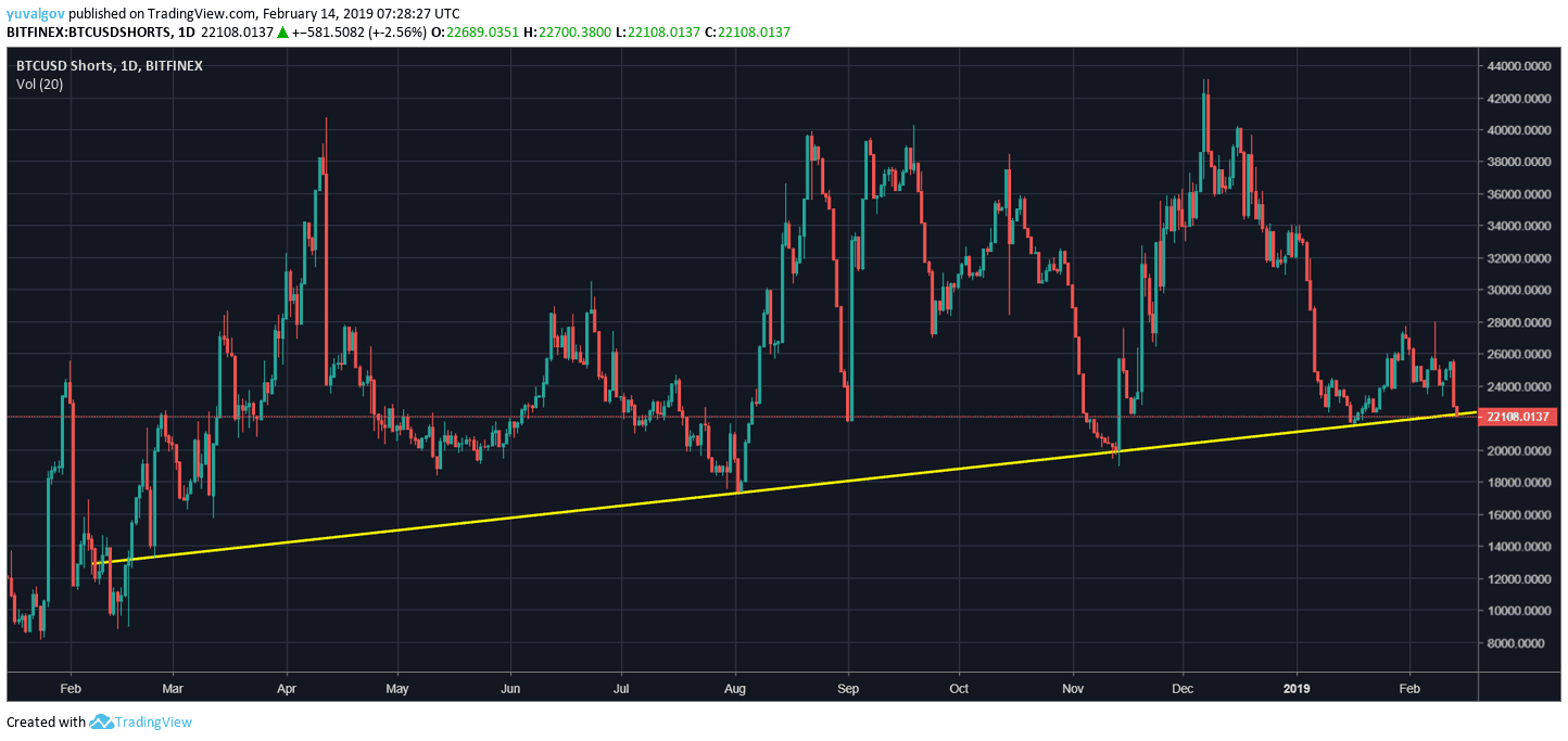 Bitcoin Market Sentiment: What is BTC USD Shorts? - cryptolog.fun