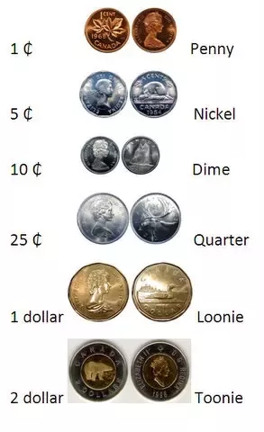 Loonies and Toonies Canadian Dollar Coins